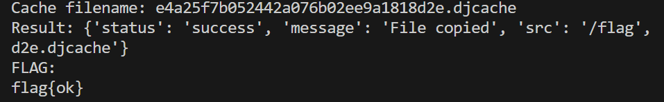 image-20251224124946152